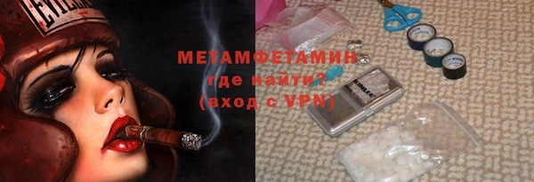 индика Верхний Тагил