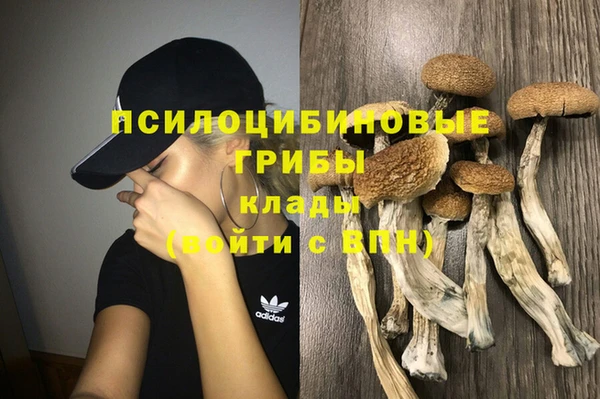 соль ск Бугульма