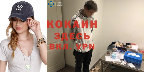 индика Верхний Тагил