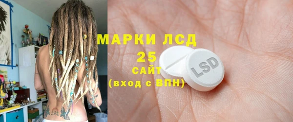 амф Бородино
