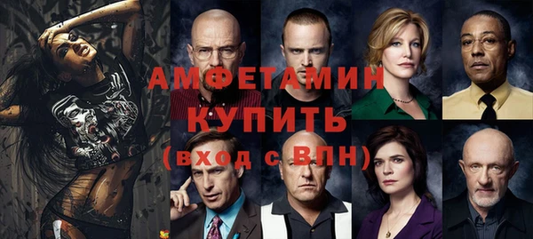 амф Бородино