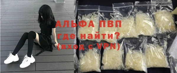 амф Бородино